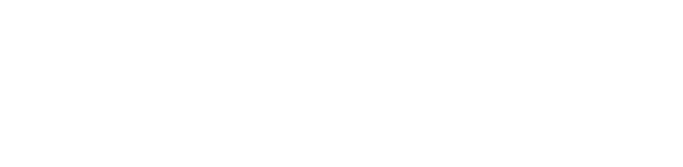 Rabbit1234
